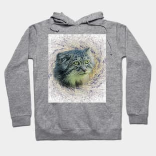 Manul-Pallas's cat Hoodie